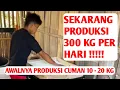 Download Lagu PROSES PEMBUATAN KERIPIK GETUK SINGKONG AWALNYA COBA UJI NASIB SAMPE BISA PRODUKSI 300 KG PERHARI !!