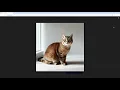 Custom Wall Clock with AI PLUS PRINT in Just One Minute Minimalist British Shorthair