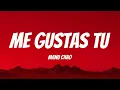 Download Lagu Manu Chao - Me Gustas Tu (Lyrics English \u0026 Spanish)
