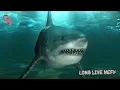 Shy Glizzy & Glizzy Gang - Long Live Neff [Official Audio]