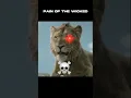 Download Lagu Scar is not the same anymore.#lionking #mufasa #scar#animals