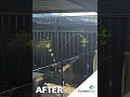 Transform Your Pool Area with Screenline Fence Extensions