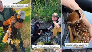 Wildlife Rescue #rescue #wildlife #animals #lovestory #cute #animalfriendship #kindness