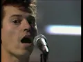Spider Murphy Gang - Schickeria 1981