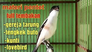 Download MASTERAN PENTET FULL TEMBAKAN KASAR GEREJA TARUNG_TENGKEK BUTO_KUNTI!!! |SUARA JERNIH| MP3