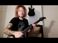 Belphegor "Necrodaemon Terrorsathan" (guitar cover) - The 365 Riff Challenge - riff 201
