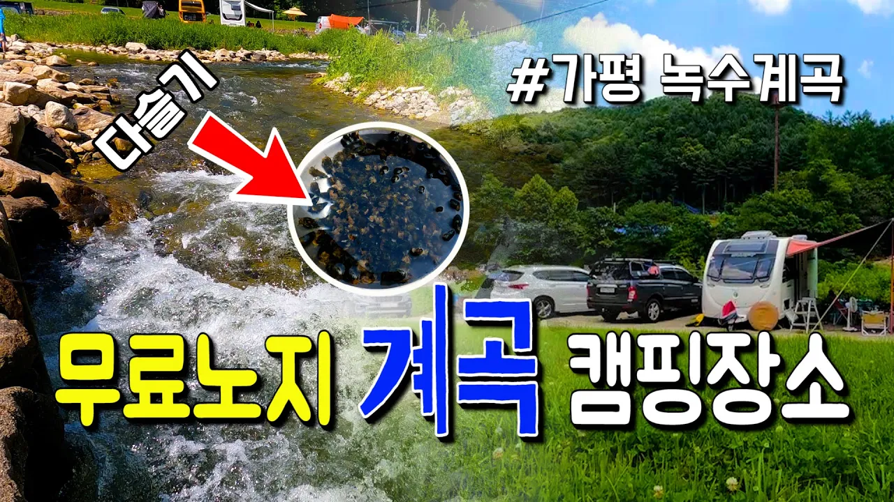 수도권에서 가까운 무료 계곡캠핑 차박지 리뷰~계곡물이 흐르는 다슬기 잡을수 있는 곳 썸네일