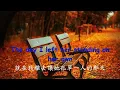 massachusetts ( with lyrics ) 麻塞諸塞州 ( 中文字幕 )/ Bee Gees 比吉斯       歌曲表達的不止是鄉愁