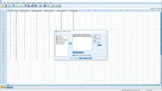 SPSS - 7 Recode Into Different Variables