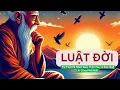 Download Lagu Luật Đời – Sự Thật Về Nhân Quả, Thịnh Suy \u0026 Giác Ngộ Ai Cũng Phải Biết