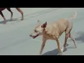 [MV] wave to earth 웨이브 투 어스 - sunny days