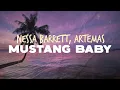 Download Lagu Nessa Barrett - Mustang Baby (ft. Artemas) | Lyrics