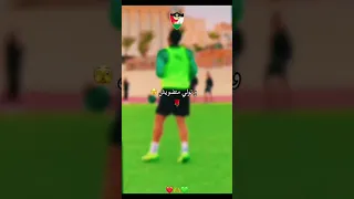نور ضلامي ساطعة 