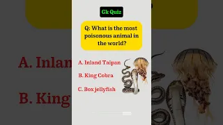 General Knowledge Quiz 