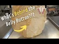 What s Behind the Belly Button
