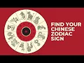 The 12 Chinese Zodiac Signs Which Chinese Animal Sign Are You What It Reveals About You