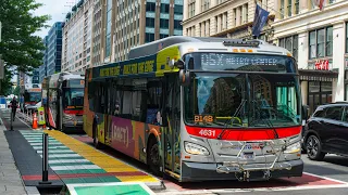 WMATA Metrobus Compilation in Downtown DC