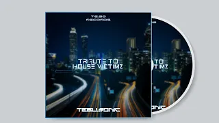 tebu sonic tribute to house victimz