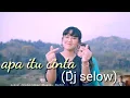 Download Lagu Happy Asmara -apakah itu cinta DJ jedag jedug