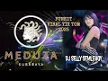 Download Lagu FUNKOT DJ SELLY SEMLEHOY || FULL ALBUM VIRAL TIK TOK || MEDUZA CLUB