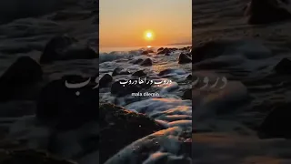 دنيي كلا غروب ميادة بسيليس 
