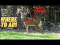 Best Deer Shot Placement Based on Anatomy