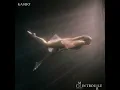 I’m In Trouble (feat. ViVii) - Kasbo