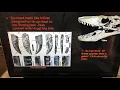 Dinosaur teeth
