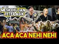 Download Lagu Aca Aca Nehi Nehi - Dadido (Cover) by Tri Suaka