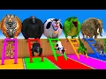 Download Lagu Long Slide Game With Cow Elephant Gorilla Hippopotamus Tiger - 3d Animal Game - Funny 3d Animals