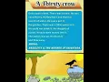 A thirsty crow || Short story || English