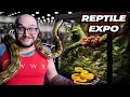 NEW Species Discovered at INSANE Reptile Expo