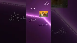 لسه ليكي معايا صوره   دندنها