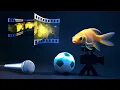 Channel