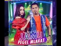 Jamu Pegel Mlarat - Tasya Rosmala & Brodin