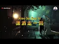Xiao Sa Zou Yi Hui ( 潇洒走一回 ) - Karaoke Female