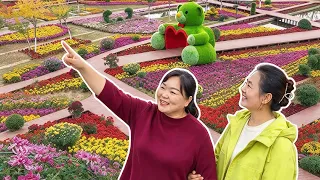 【陕北霞姐】十月花海正美!霞姐约上朋友去赏花,边走边拍,笑得比花还灿烂!