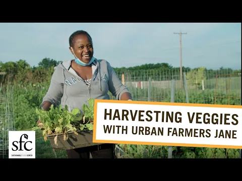 Harvesting Vegetables with Farmer Jane