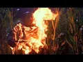 Download Lagu Freddy vs Jason | Cornfield Party Massacre Scene | Nightmare on Elm Street / Friday 13th Horror Clip