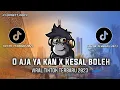 Download Lagu DJ O AJA YA KAN X KESEL BOLEH - JANGAN LUPA BAHAGIA VIRAL TIKTOK 2023