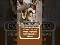 Download Lagu Nikah mahar 3 milyar