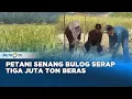 Download Lagu Bulog Serap Gabah dengan Harga Lebih Tinggi