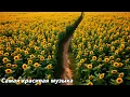 Download Lagu Три месяца я слушал только эту музыку🌿Хорошие мелодии, которые заставят вас плакать🌿Сергей Грищук