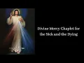 DIVINE MERCY CHAPLET FOR THE SICK AND THE DYING led by Rev Fr Kenneth Sales