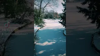 كاظم الساهر أكرهها  كاظم الساهر أكرهها