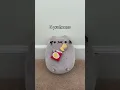 ANOTHER ONE