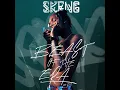 Skeng - Eedeatt (Idiot) [Official Audio]