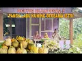 Lagu DIGUYUR HUJAN DERAS..!! PANEN LABU KUNING BERSAMA ISTRI