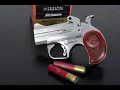 The Texas Defender by Bond Arms