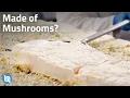 Download Lagu Why Mushrooms are Starting to Replace Everything